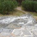 DSC09778