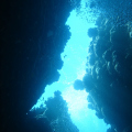 20061114110624