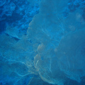 20061114152010