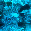 20061116114123