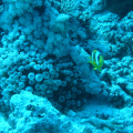 20061116114653