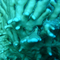 DSC00469