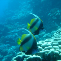 DSC00486