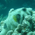 DSC00490