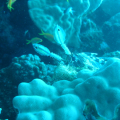 DSC00535