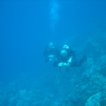 DSC00548