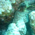DSC00549