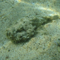 DSC00588