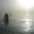 DSC00604