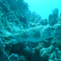 DSC00624