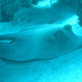 DSC00628