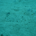 DSC00647