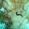 DSC00652