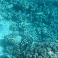 DSC01201
