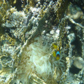 DSC01205