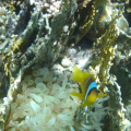 DSC01209