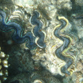 DSC01213