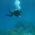 IMG_4759