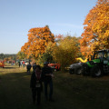 20121020103209-img_2844
