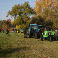 20121020103356-img_2849