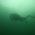 20090719124438-IMG_4512