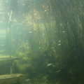 20090719151742-IMG_4606