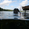 20090719152142-IMG_4621