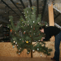 20091224150047-img_6079