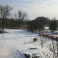 20100214105150-img_6854