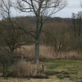 20100321172531-img_7611