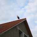20100730194320-img_8965