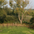 20100910173948-img_9612