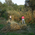 20100911183929-img_9615