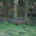20100911184035-img_9622