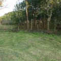 20100911184039-img_9623