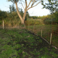 20100911184102-img_9625