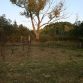 20100911184231-img_9630