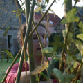20100911184301-img_9632