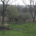 20110409091928-img_1082