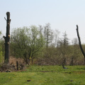 20110422112448-img_1087
