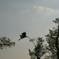 20110422182706-img_1163