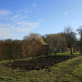 20120408084715-img_2085