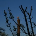 20120413192809-img_2192