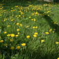 20120430094342-img_2349