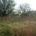 20120430094535-img_2352