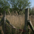 20120430094652-img_2356