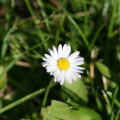 20140521162739-IMG_5365