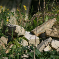 20140521163207-IMG_5376