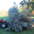 20141004163959-IMG_3760