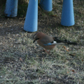 20141227115941-IMG_5666